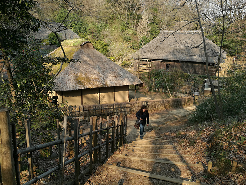 visit nihon minkaen